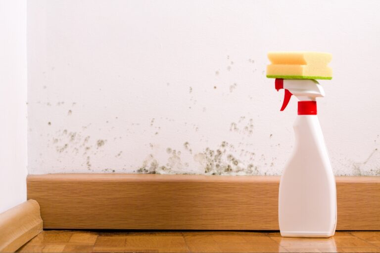 cleaning mould