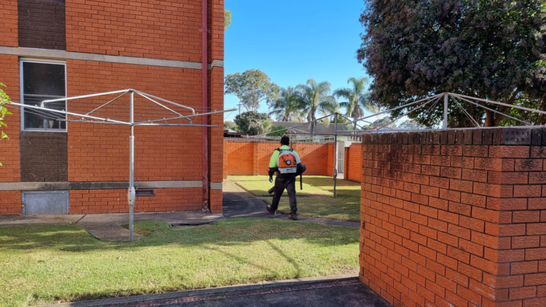 property maintenance in social housing