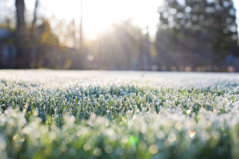 Seasonal Maintenance Checklist - Winter 2025
