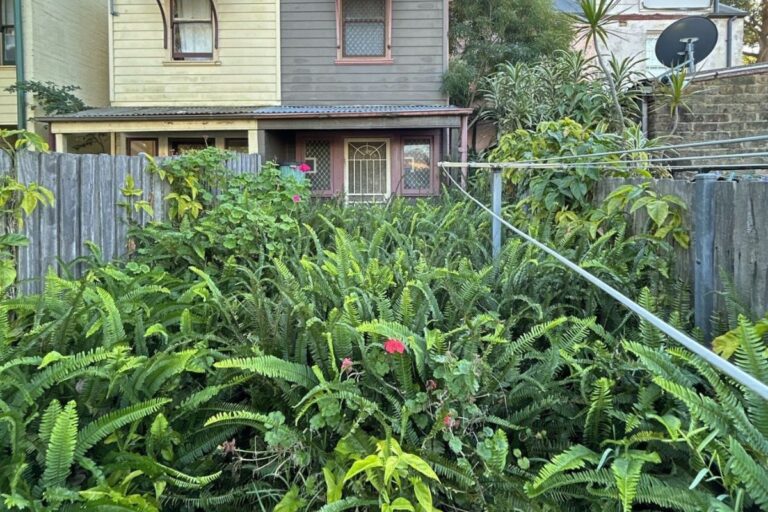 Star Property Maintenance - Taming the Suburban Jungle