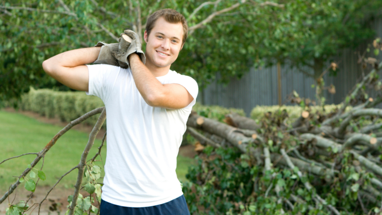Star PM Tree Lopping Service